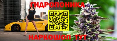 трава Берёзовский