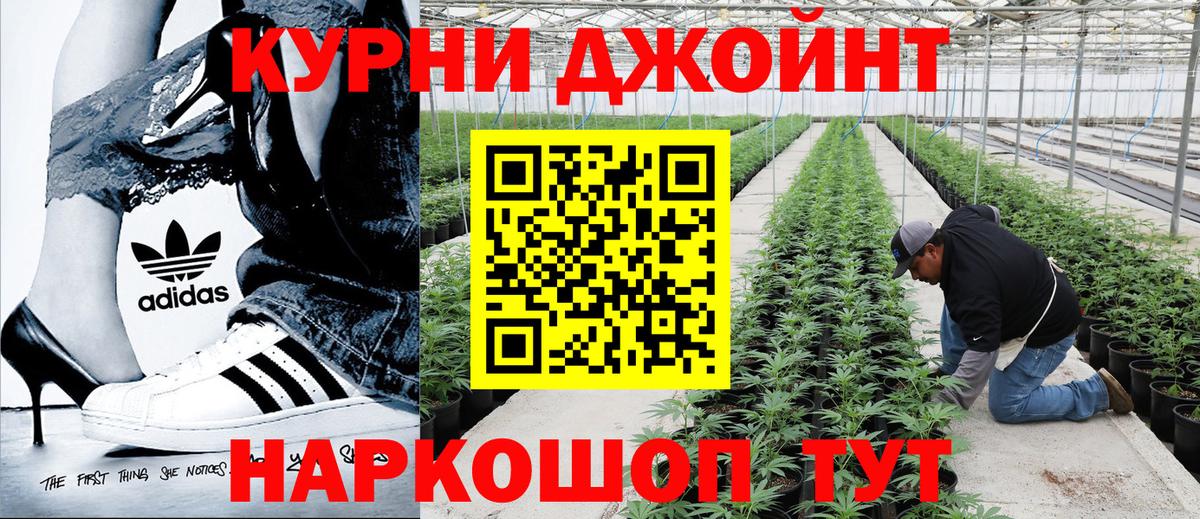 Каннабис MAZAR Беслан